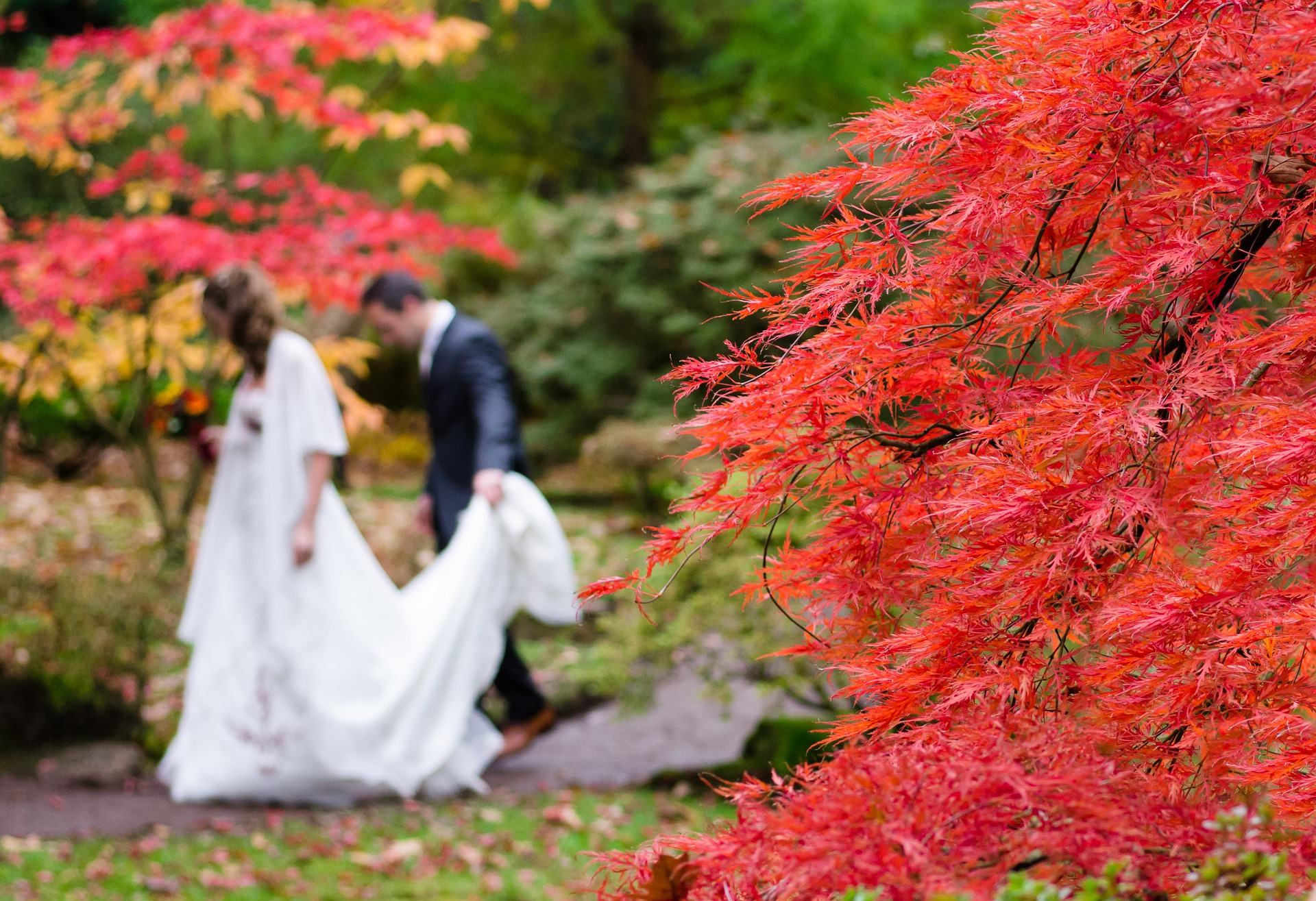 wedding gc85f90e0e 1920 - 出会いがない教員男性が、結婚するのにやるべき手順とは？